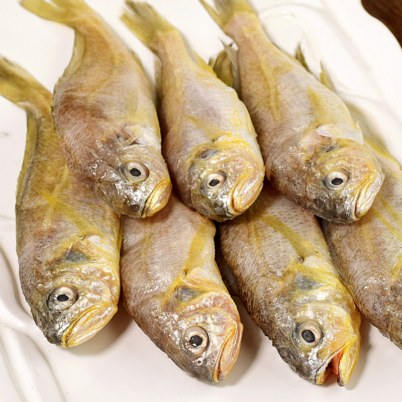 小黄黄鱼黄花鱼新鲜冷冻海鱼海鲜野生渤海烟台黄鱼