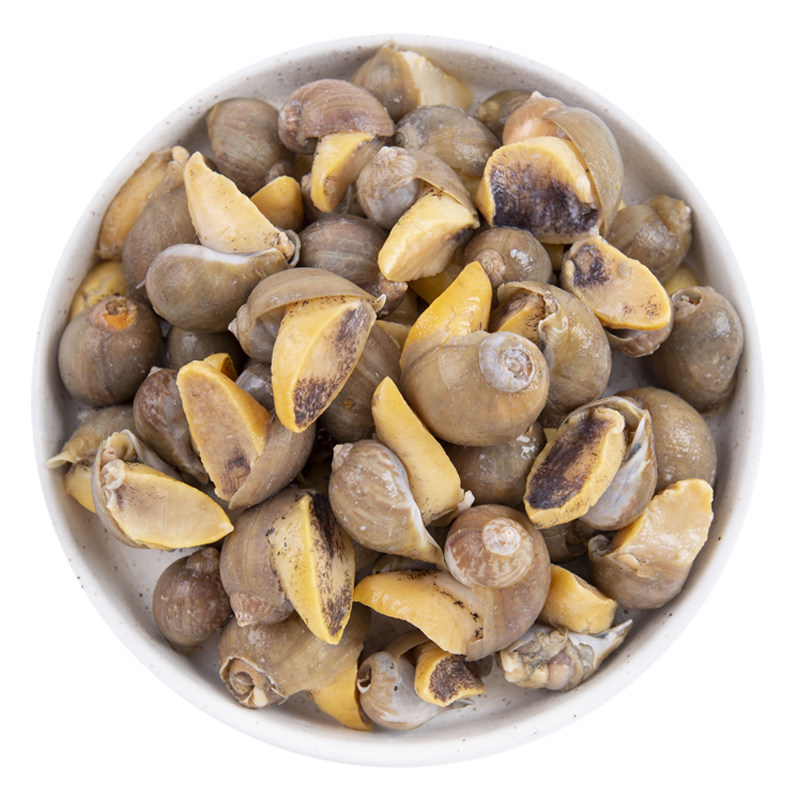 老婆脚假鲍鱼海鲜海蜗牛鲍螺鲜活速冻黄金珍珠海螺