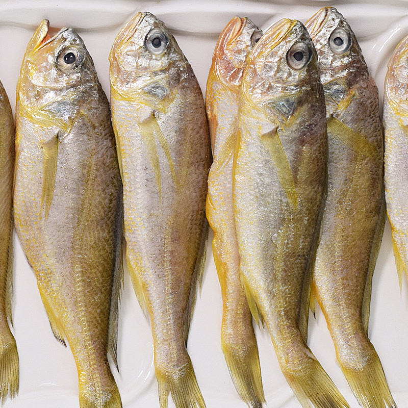 小黄黄鱼黄花鱼新鲜冷冻海鱼海鲜野生渤海烟台黄鱼