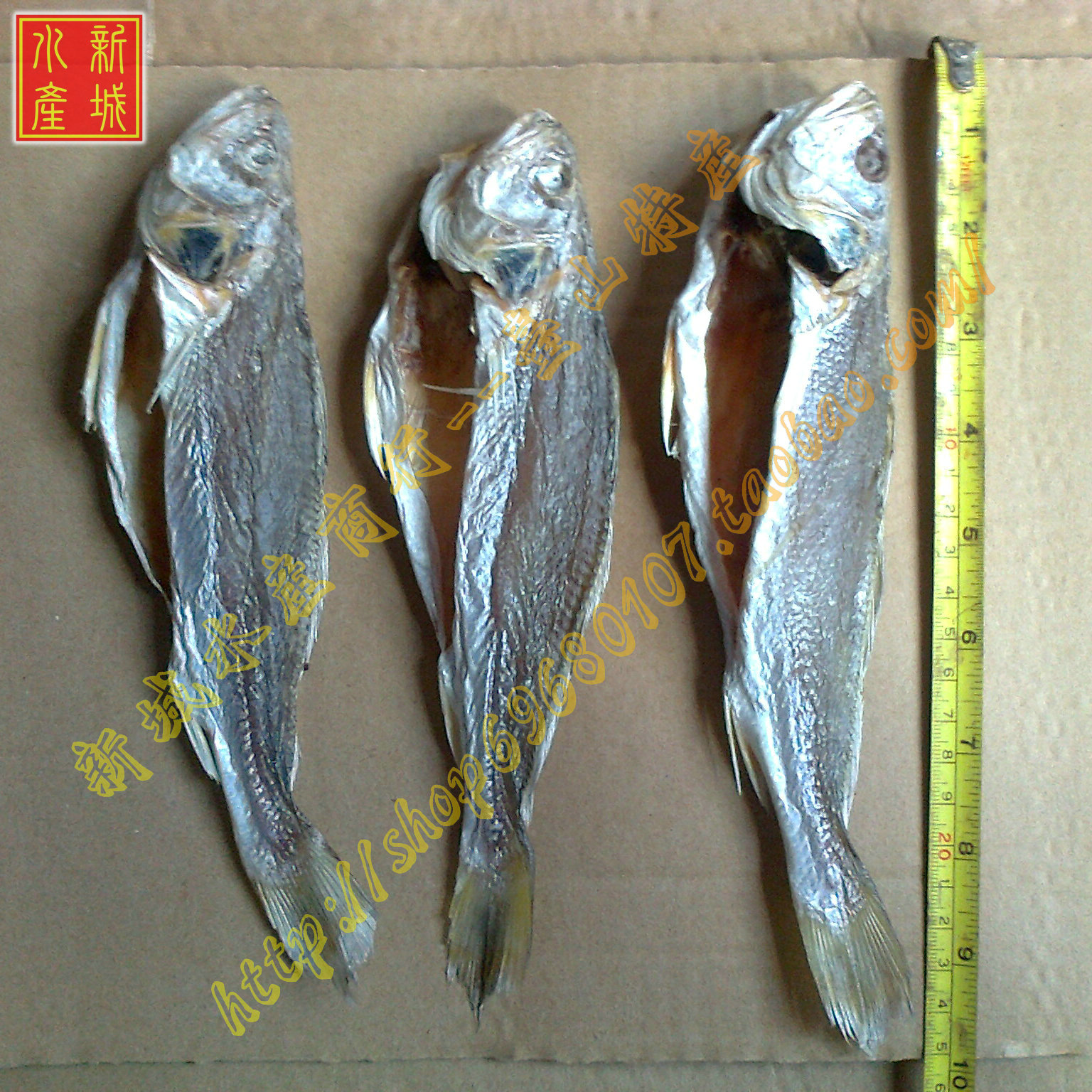 淡口三牙鱼-中 三齿鱼 咸水生鱼 淡晒咸鱼 台山广海特产