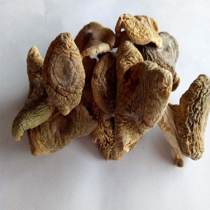 梨菇干货福建三明宁化天然野生青面杂菇干天然绿色农家500g包邮