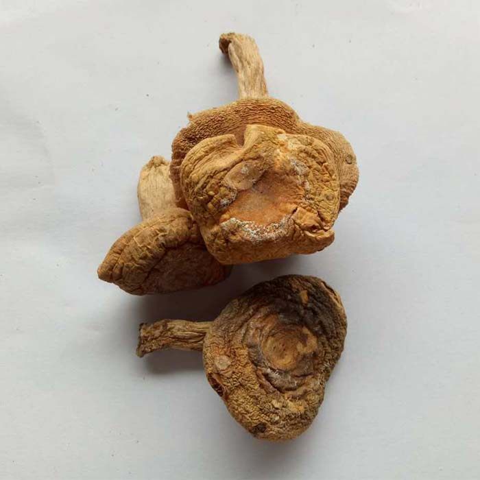 梨菇干货福建三明宁化天然野生青面杂菇干天然绿色农家500g包邮