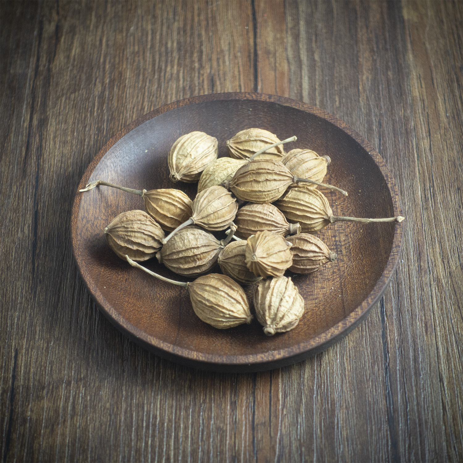 香砂仁川砂仁艳山姜香辛川菜卤水alpiniazerumbet花椒