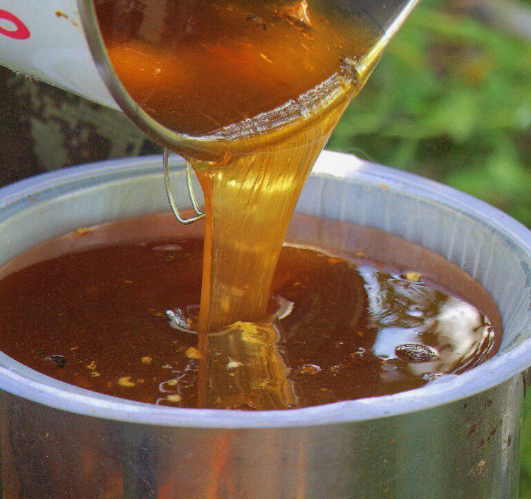 1斤蜂蜜纯天然新疆阿勒泰农家自产野生沙枣蜜成熟蜜封盖蜜包邮