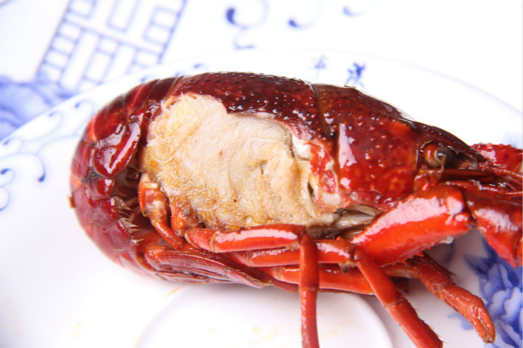 盱眙小子龙虾 1.8两纯母虾 洪泽湖野生