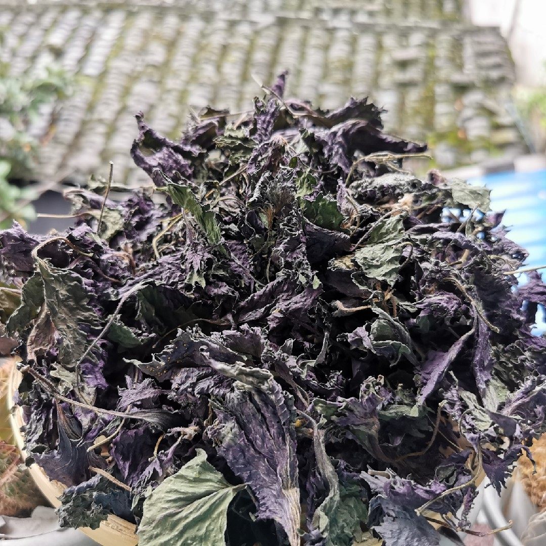 农家野生紫苏叶紫苏干烧海鲜澄湖大闸蟹一斤包邮紫苏