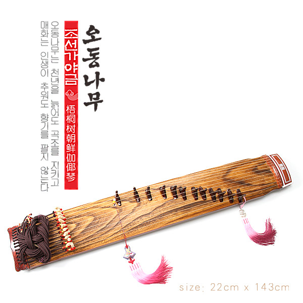 朝鲜民族乐器传统梧桐伽倻其它民族乐器