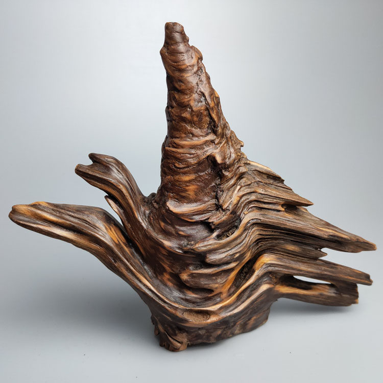 根雕根艺松脂松节松瘤松树疙瘩松明明子枯木根雕