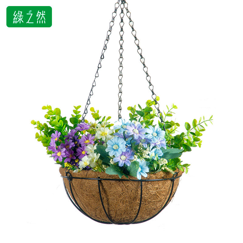 吊兰花盆悬挂阳台绿箩植物垂吊室内佛珠吊挂花盆