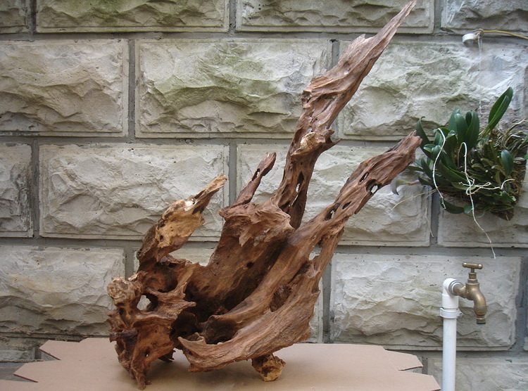 根艺沉木风化枯木腐木天然摆件水陆造景攀爬摆件
