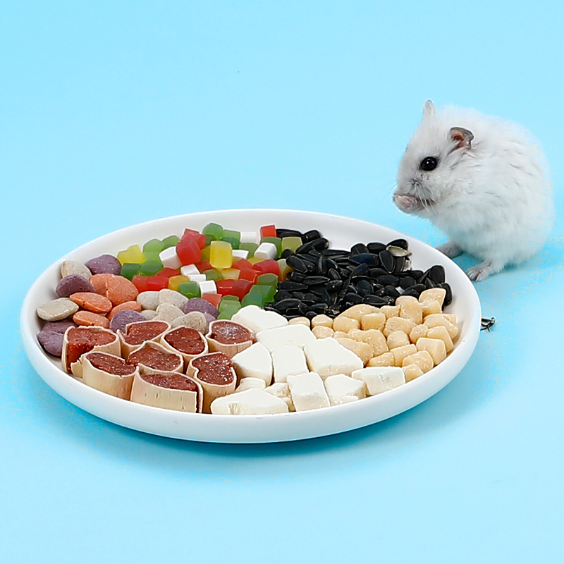 仓鼠零食组合套餐奶酪大礼包瓜子冻干豆腐混合玩具
