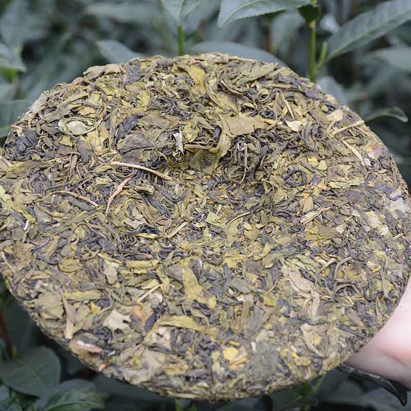黄茶温州平阳黄汤紧压黄茶饼小叶特早黄大茶叶春茶农自产销330g