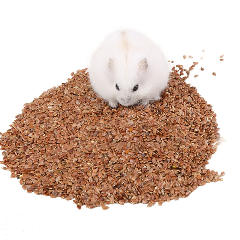 仓鼠兔子龙猫天竺鼠 天然亚麻籽50g 仓鼠粮食膳食纤维
