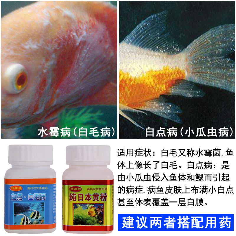 白点病药治疗身上长白治鱼白毛专用用药鱼药其他益生菌