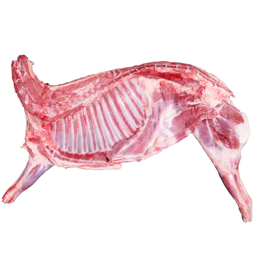 蝎子年货半只只羊羊腿羊排新鲜羊肉内蒙古套餐生羊肉