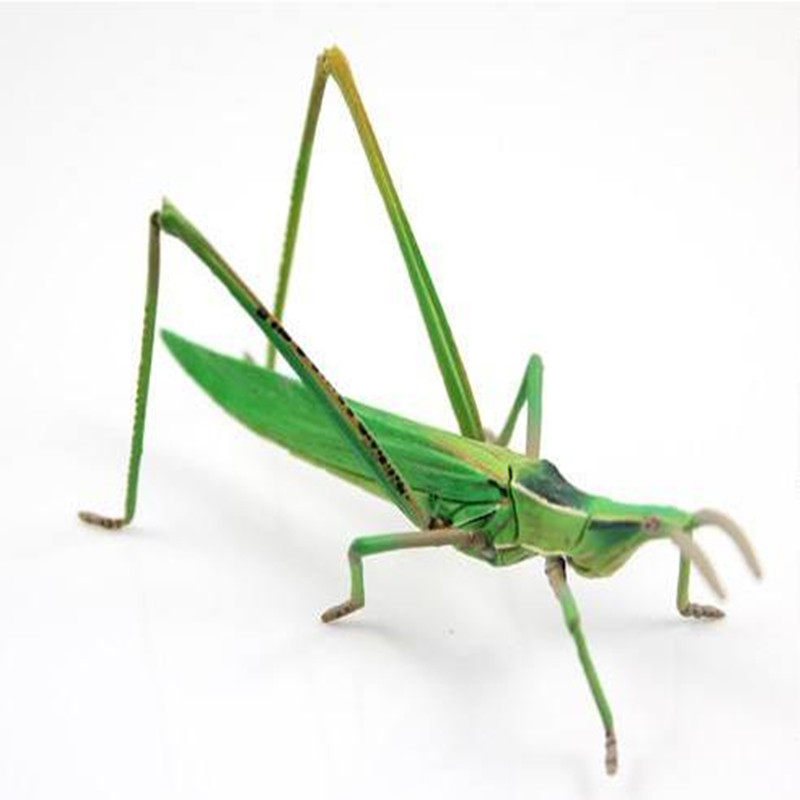 新鲜冷冻中华剑角蝗梢马甲扁担钩尖头蚂蚱蚱蜢蝗虫250g 2件包邮