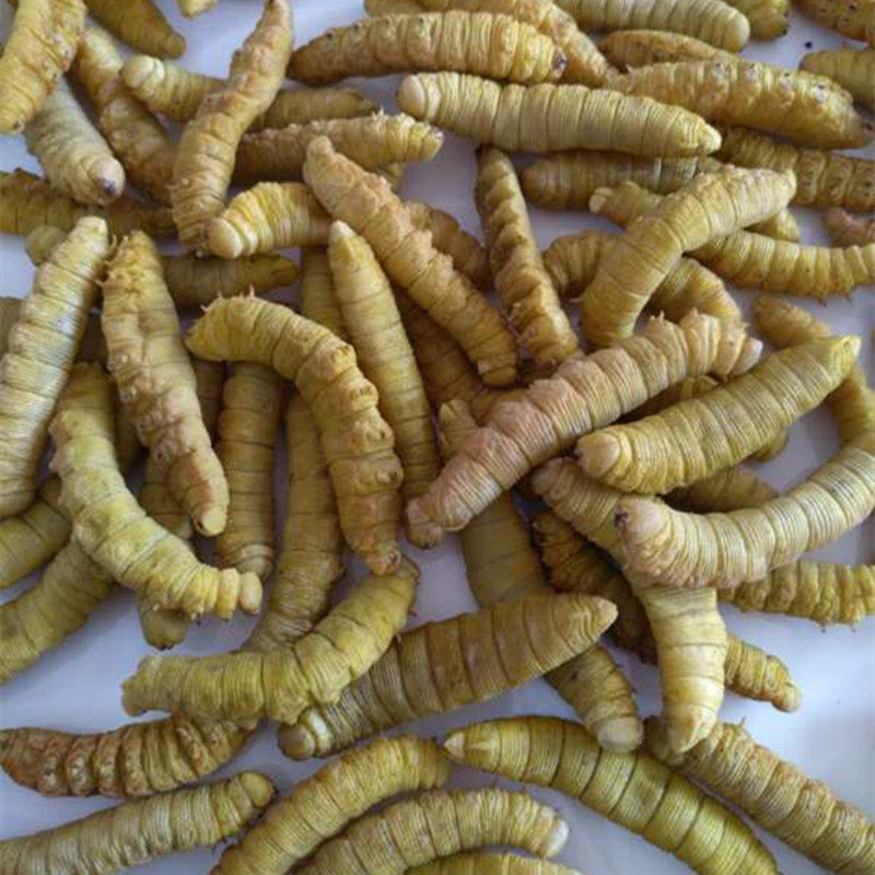 干豆新鲜原味无添加烘干虫豆丹纯虫豆天50克包邮其他食品