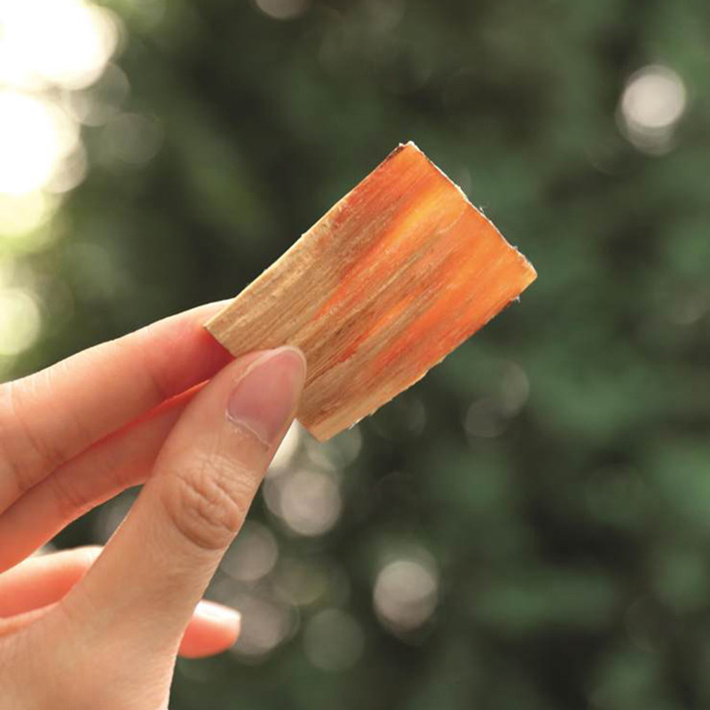 松明子 bushcraft引火物 松油松脂火绒子