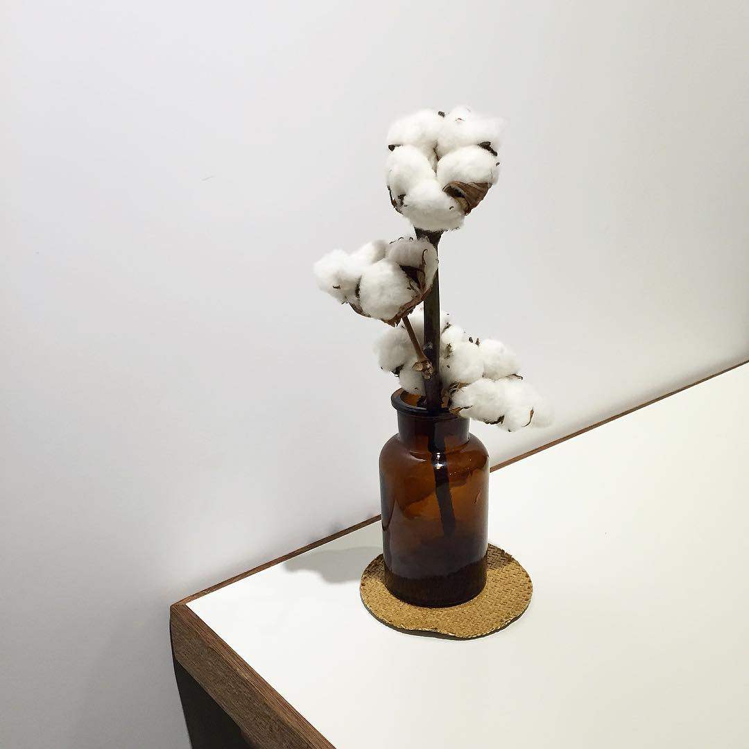 ins韩风家居装饰插花干花棉花摆拍桌面木棉花卧室干花