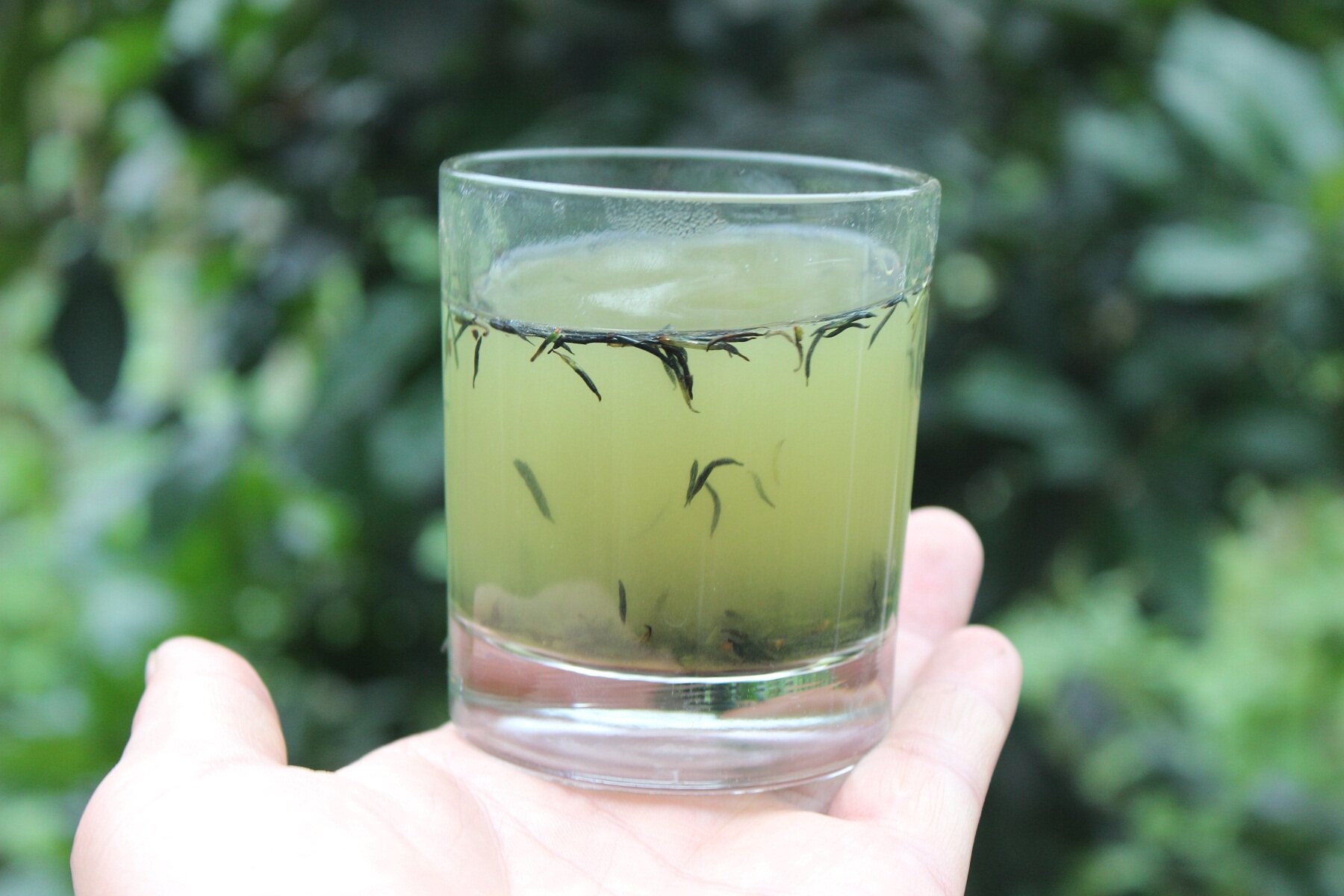 张家界野生杜仲雄花茶正品针形花蕊养生茶2018年新茶55克自产自销