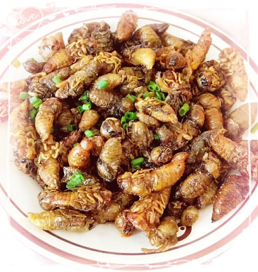 知了100只鲜嫩蚱爬蛹爬金蝉蝉嫩白蝉银脱壳21年其它生肉制品