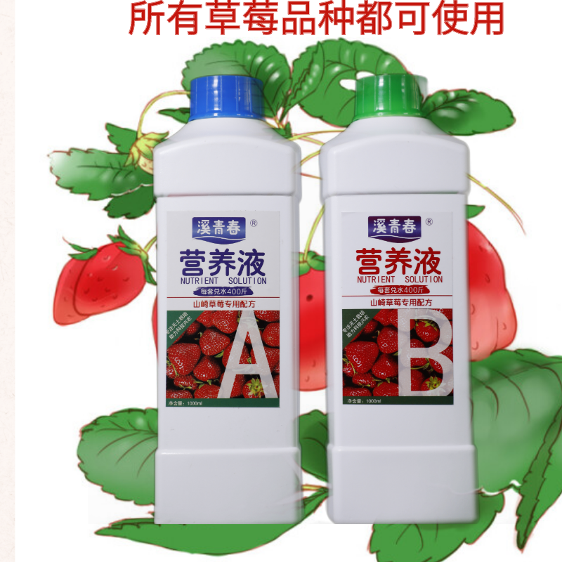 山崎草莓配方浓缩营养液无土栽培土种水养盆栽种植介质