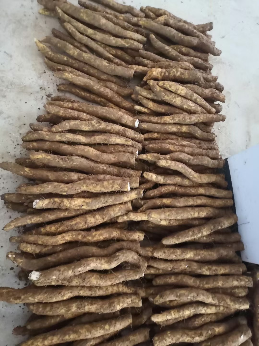 热销湖北恩施利川团堡富硒土山山药食用药材新鲜山药