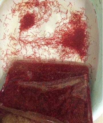 包损冰冻红虫血虫冷冻红虫血虫冻赤虫罗汉七彩鱼粮鱼食500g