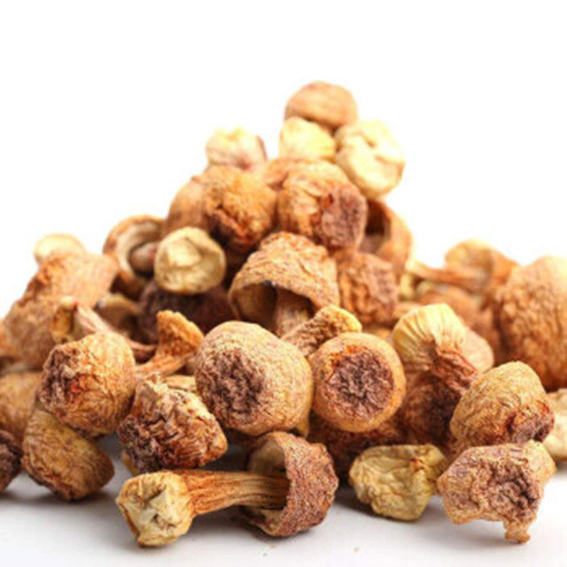 特产东北松茸250g磨菇黑龙江干货食用菌煲汤食材松茸