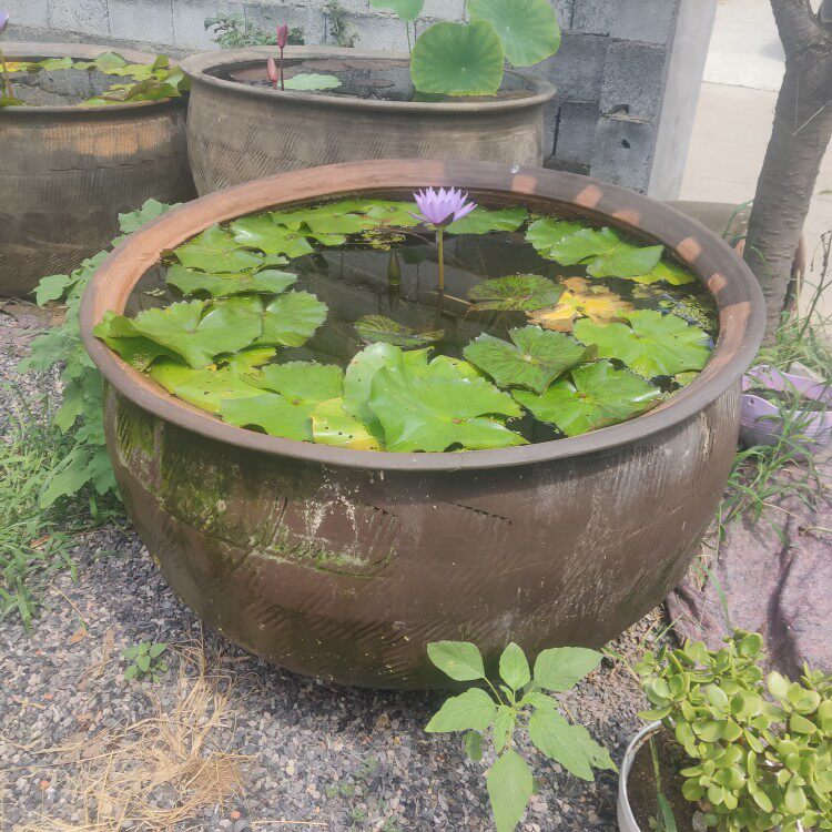 包邮家用睡莲荷花泥土土陶水缸无釉庭院造景花盆