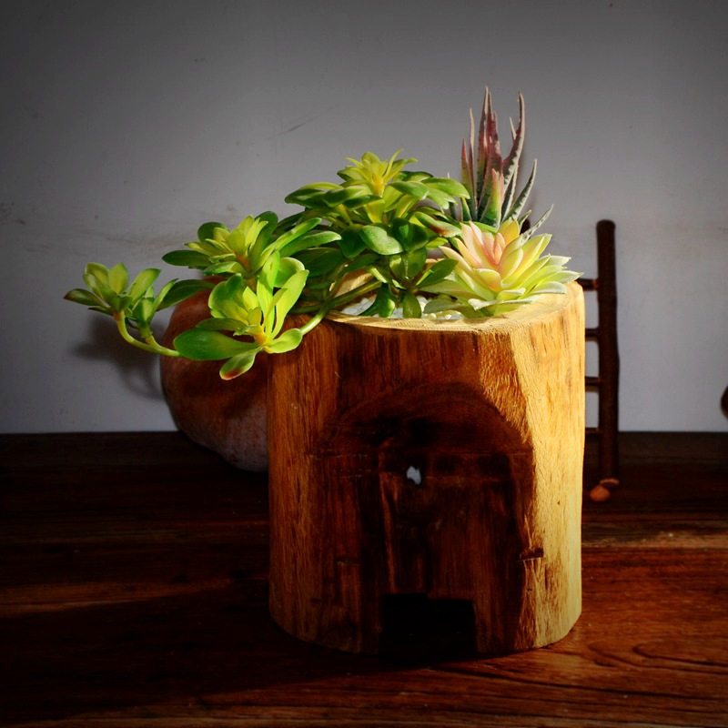 盆栽石斛木头花盆圆形木桩树根专用创意意中花盆