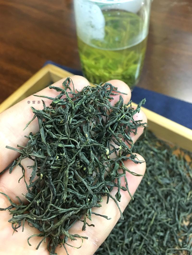 邓村绿茶 春雷茶行
