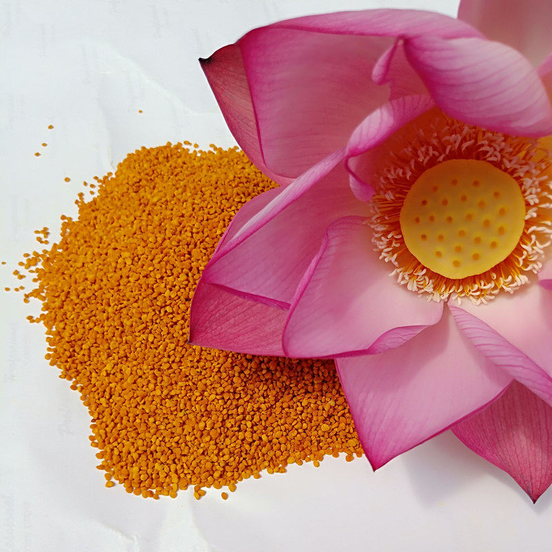 40年养蜂之家2020年7月新农家天然蜂花粉荷花粉一斤