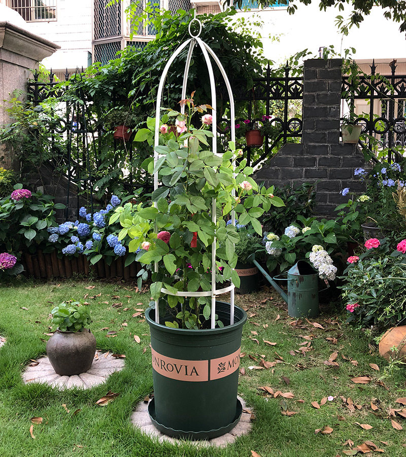 花园生活花柱柱形架爬藤架园艺支架植物攀爬花架