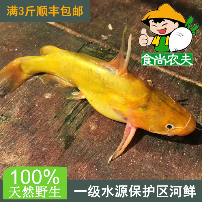 食尚农夫野生黄骨鱼500克 绿色有机鲜鱼配送 广东满3斤顺丰包邮