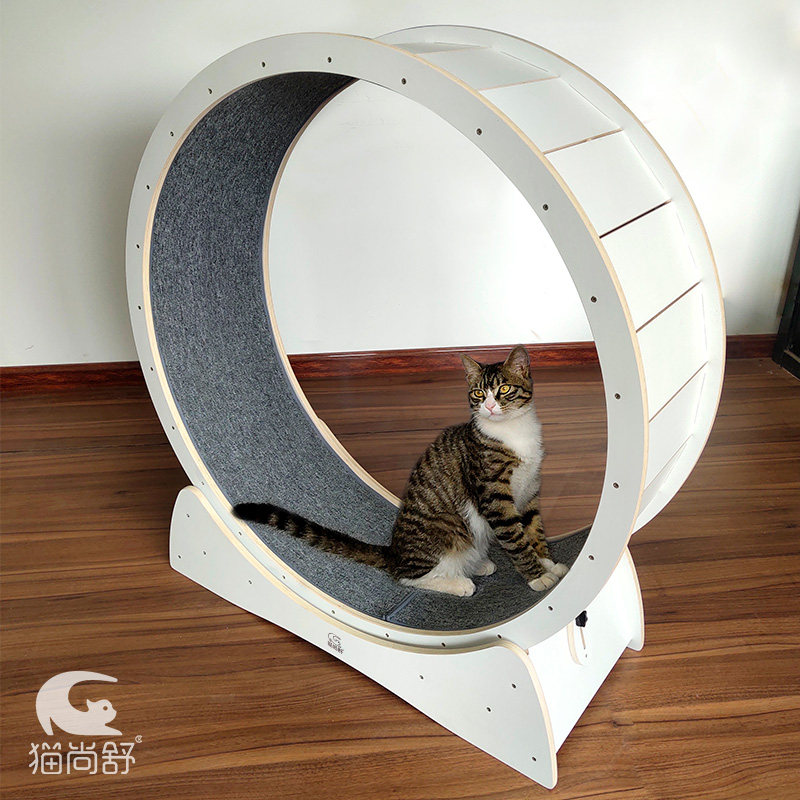 猫咪猫尚舒宠物宠物跑步机滚轮猫跑轮运动跑轮实木猫爬架