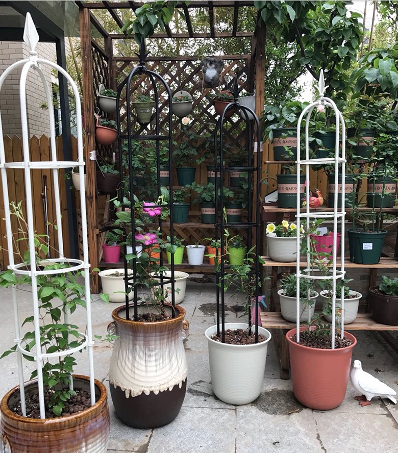 阳台园艺支架户外铁线莲爬藤植物花架攀爬架子花架