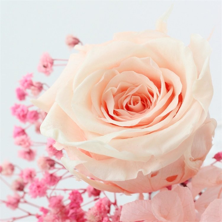 ins干花花束粉色少女心带永生花玫瑰满天星家居装饰干花