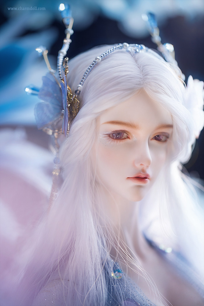 bjdcd大女范妮莎vanessasd娃娃同类charmdoll人形bjd娃娃