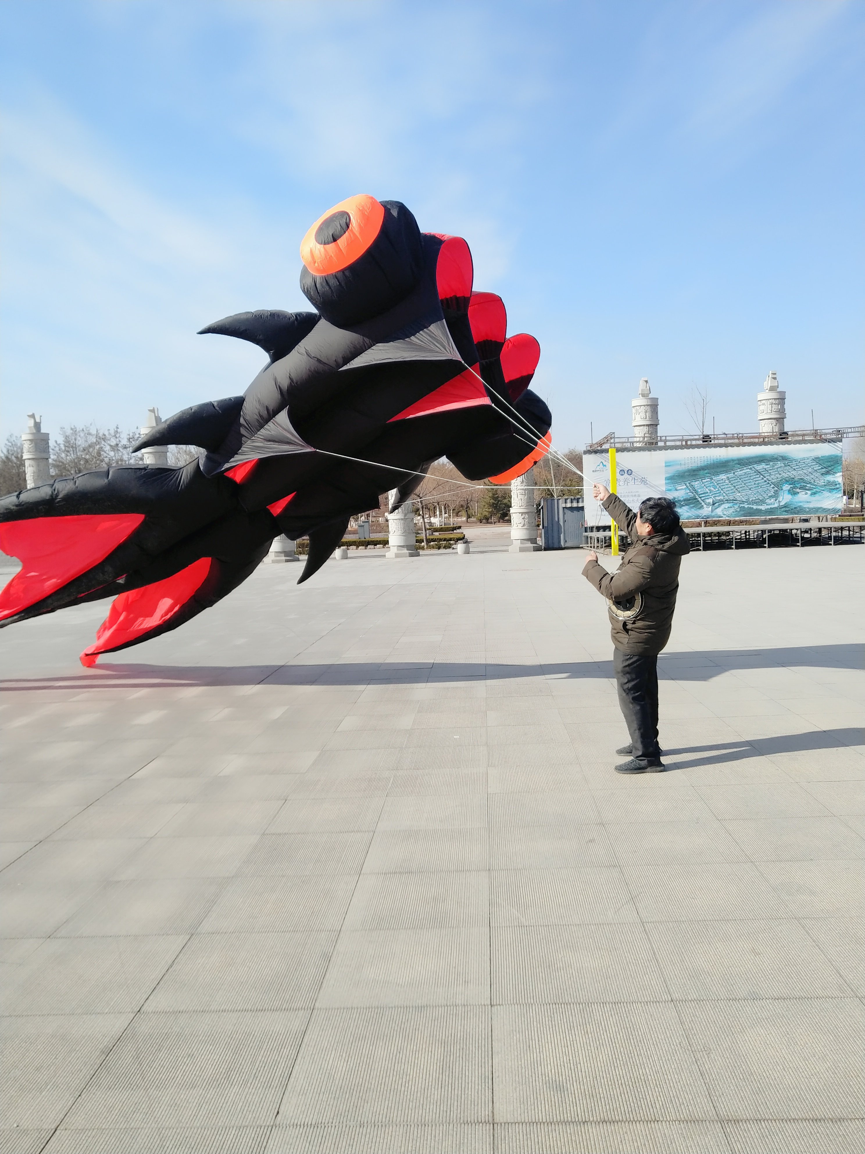 潍坊发包老店厂家老四马老四青州金鱼好飞比赛风筝