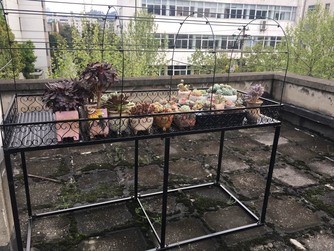 阳台别墅阳光房多肉落地多层层带移动花架可防花架