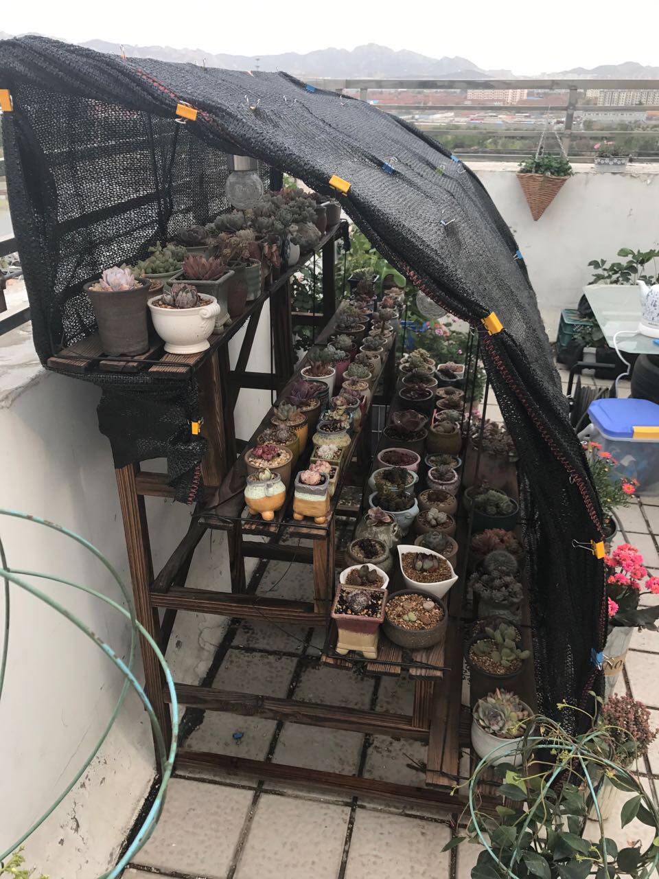 落地多层阶梯式多肉花架定做雨棚棚架防雨防晒花架