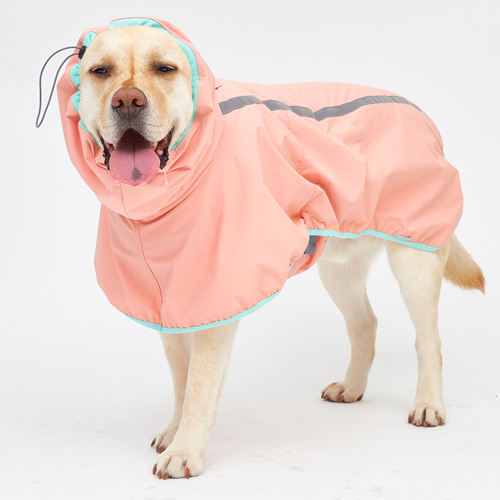 韩国直邮预定设计师品牌高端狗狗雨衣大型犬雨衣大宠物服装