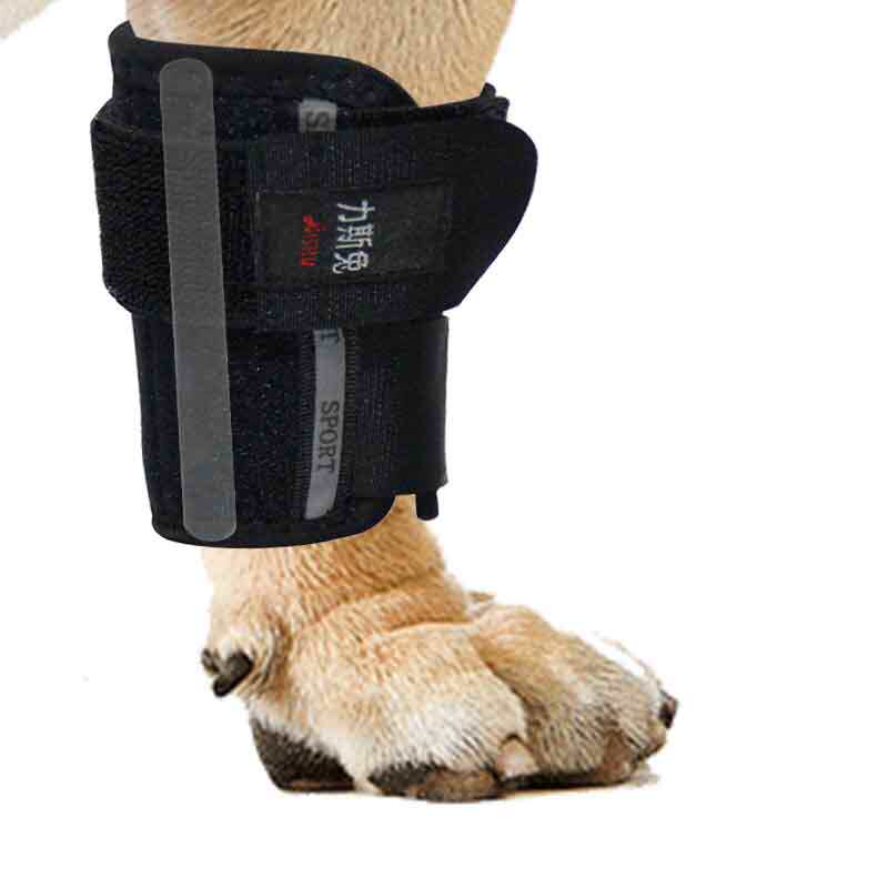 骨折前腿泰迪金毛矫正趴蹄护腿关节夹板固定狗牵引绳