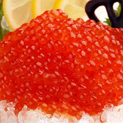大马马哈鱼子包邮野生新鲜大马哈鱼鱼子酱鱼籽黑龙江其他食品
