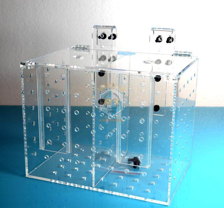 隔离鱼缸水族小鱼鱼苗孵化繁殖透明亚克力单双孵化器