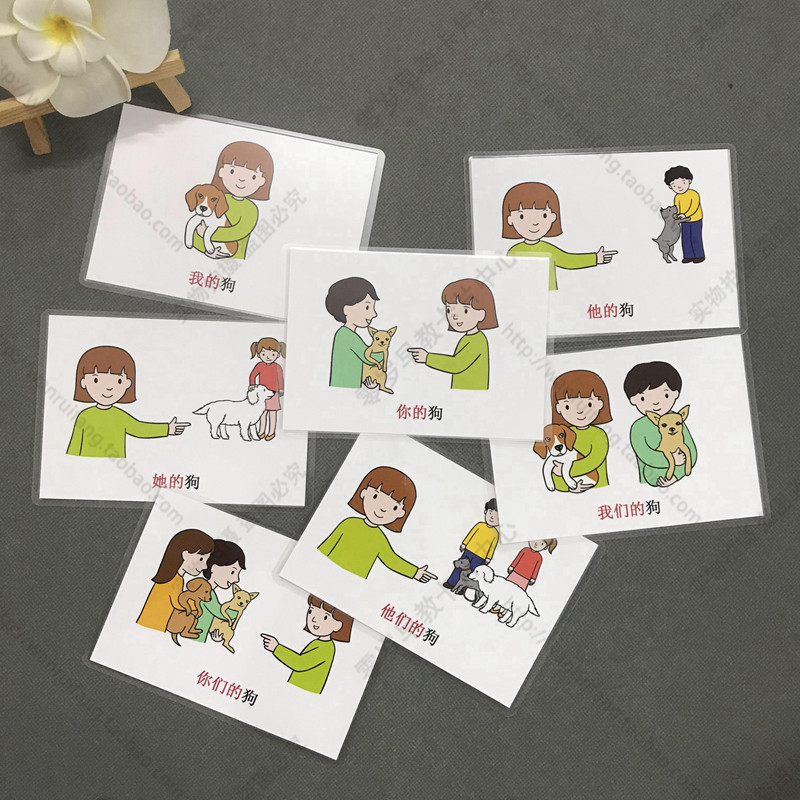 代词孤独症自闭症儿童表达训练认知卡片宝宝发育玩具挂图