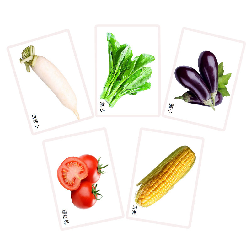 蔬菜类 儿童早教认知卡片语言发育迟缓自闭症孤独症康复训练卡片