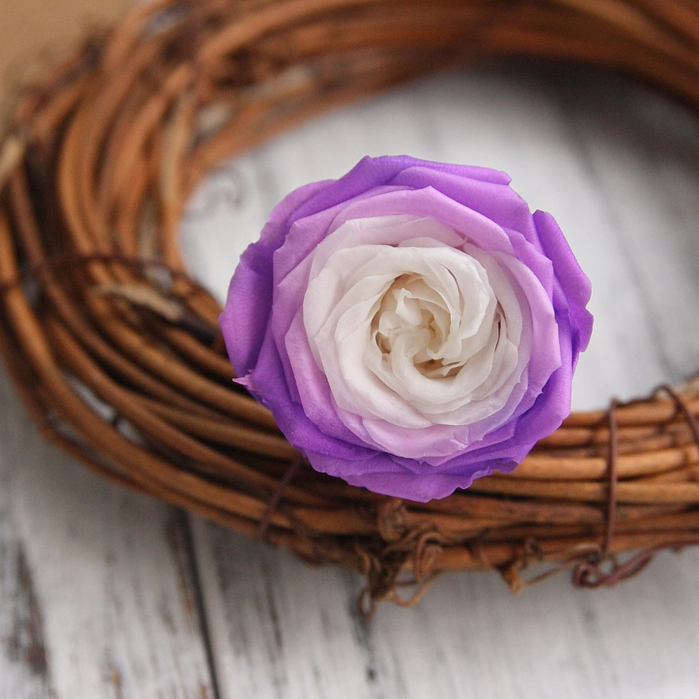 永生花永生花材精品23cm彩色奥斯汀玫瑰钥匙扣礼盒永生花