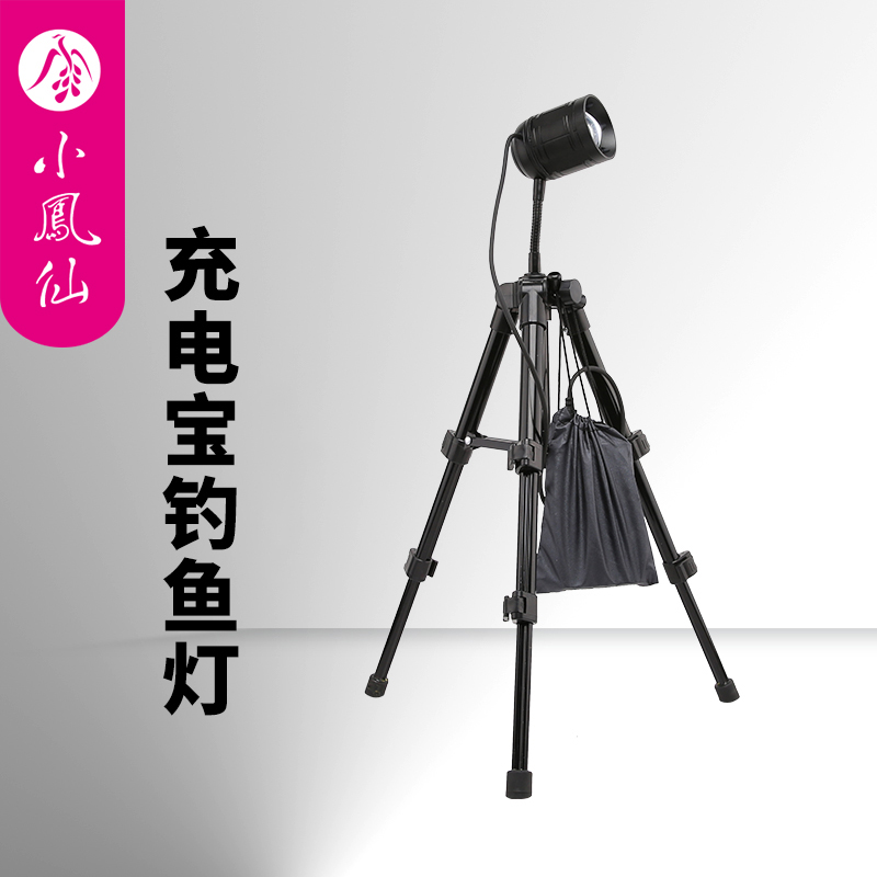 小凤仙 T4T8钓鱼灯户外夜钓灯 蓝白双光源充电手电筒变焦防水渔具